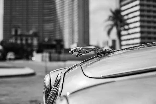 PocketWin Kasyno Aplikacja Android/iOS