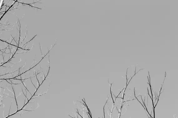 PocketWin Kasyno Wsparcie